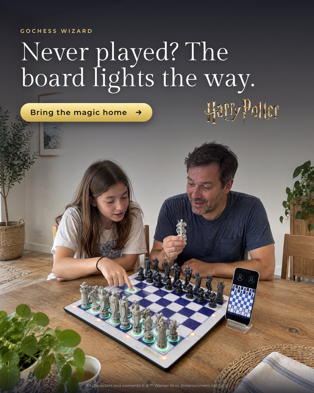 The board that teaches chess